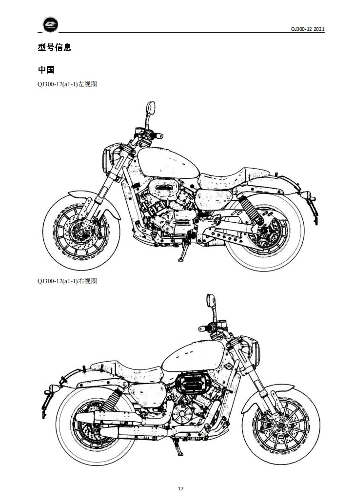 2021錢江閃300 QJMOTO QJ300-12維修手冊簡體中文全車線路圖零件藍牙表模具DIY維修工具